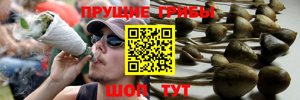 Псилоцибиновые грибы MAGIC MUSHROOMS Назарово