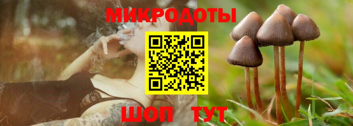 Галлюциногенные грибы GOLDEN TEACHER  Вход с VPN  Назарово 