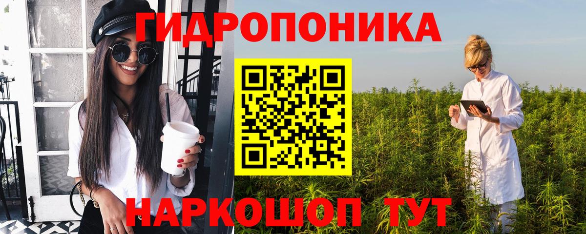 Шишки марихуана конопля Назарово